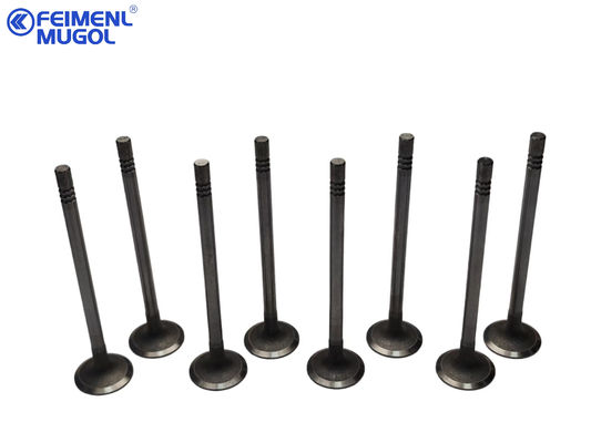 Giá tốt. Van hút của FEIMENL MUGOL phù hợp với Ford Transit V348, PUMA2.4, OEM XS7Q-6507-A3C trực tuyến