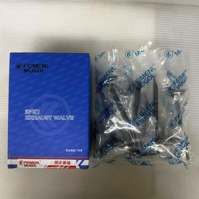 chất lượng Van hút chất lượng cao cấp 1007011-ED01 cho động cơ Great Wall 4D20D & 4D20B, được xây dựng để hoạt động và kéo dài. nhà máy sản xuất